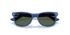 [Dark Green Lenses, Polished Rubber Blue Frame]