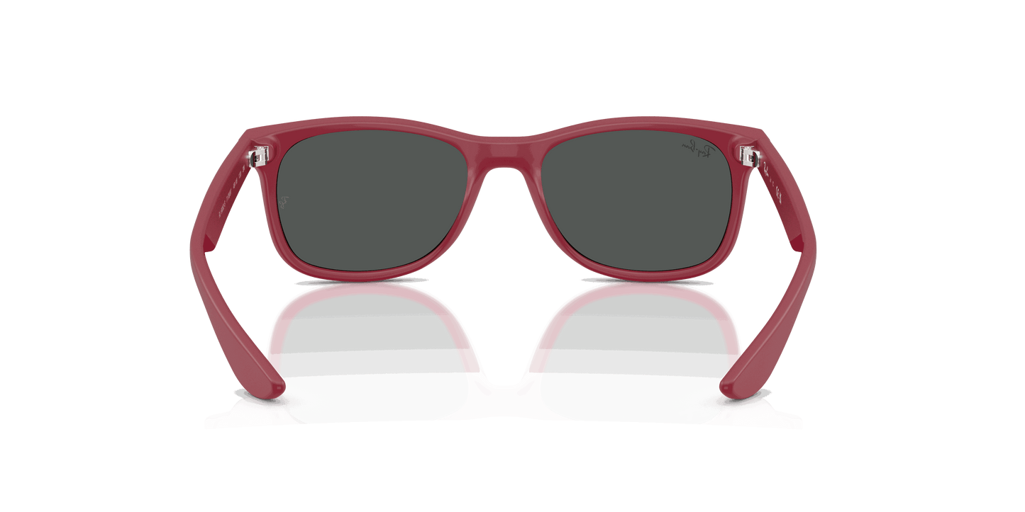 [Dark Grey Lenses, Polished Rubber Bordeaux Frame]