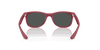 [Dark Grey Lenses, Polished Rubber Bordeaux Frame]