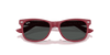 [Dark Grey Lenses, Polished Rubber Bordeaux Frame]