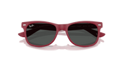 Dark Grey Lenses, Polished Rubber Bordeaux Frame