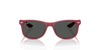 [Dark Grey Lenses, Polished Rubber Bordeaux Frame]