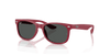 [Dark Grey Lenses, Polished Rubber Bordeaux Frame]