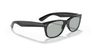 Light Grey Lenses, Polished Black Frame