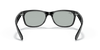 [Light Grey Lenses, Polished Black Frame]