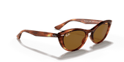 B-15 Brown Lenses, Polished Striped Havana Frame