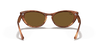 [B-15 Brown Lenses, Polished Striped Havana Frame]