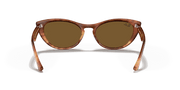 B-15 Brown Lenses, Polished Striped Havana Frame