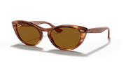 B-15 Brown Lenses, Polished Striped Havana Frame