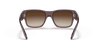 [Brown Gradient Lenses, Polished Transparent Dark Brown Frame]