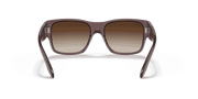 Brown Gradient Lenses, Polished Transparent Dark Brown Frame