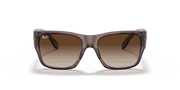 Brown Gradient Lenses, Polished Transparent Dark Brown Frame