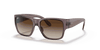 [Brown Gradient Lenses, Polished Transparent Dark Brown Frame]