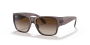 Brown Gradient Lenses, Polished Transparent Dark Brown Frame