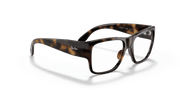 Clear Lenses, Polished Havana Frame