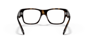 Clear Lenses, Polished Havana Frame