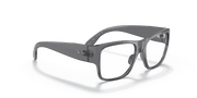 Clear Lenses, Polished Transparent Grey Frame