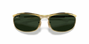 [G-15 Green Lenses, Polished Arista Gold Frame]