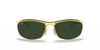 [G-15 Green Lenses, Polished Arista Gold Frame]