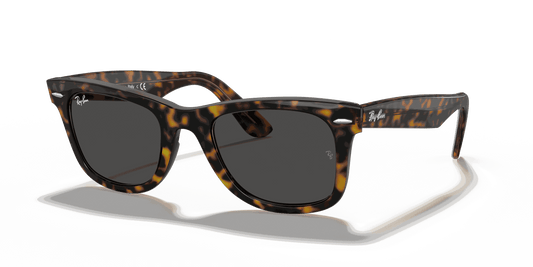[Dark Grey Lenses, Polished Havana On Transparent Brown Frame]