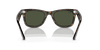 [Green Lenses, Polished Havana Frame]