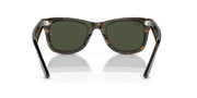 Green Lenses, Polished Havana Frame