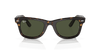 [Green Lenses, Polished Havana Frame]