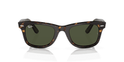 Green Lenses, Polished Havana Frame