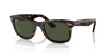 [Green Lenses, Polished Havana Frame]