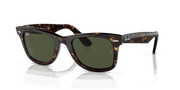 Green Lenses, Polished Havana Frame