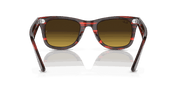 Brown Gradient Lenses, Polished Striped Red Frame