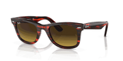 Brown Gradient Lenses, Polished Striped Red Frame