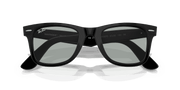 Light Grey Lenses, Matte Black Frame