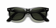 G-15 Green Lenses, Polished Black Frame