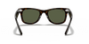 [G-15 Green Lenses, Polished Tortoise Frame]