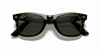 [G-15 Green Lenses, Polished Tortoise Frame]