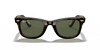 [G-15 Green Lenses, Polished Tortoise Frame]