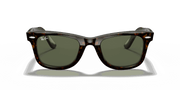 G-15 Green Lenses, Polished Tortoise Frame