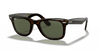 [G-15 Green Lenses, Polished Tortoise Frame]