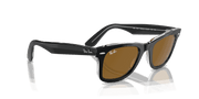 Brown Lenses, Polished Black On Transparent Frame