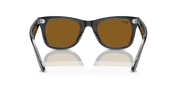 Brown Lenses, Polished Black On Transparent Frame