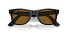 [Brown Lenses, Polished Black On Transparent Frame]