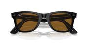 Brown Lenses, Polished Black On Transparent Frame