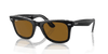 [Brown Lenses, Polished Black On Transparent Frame]