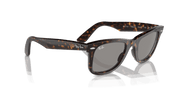 Grey Lenses, Polished Havana Frame