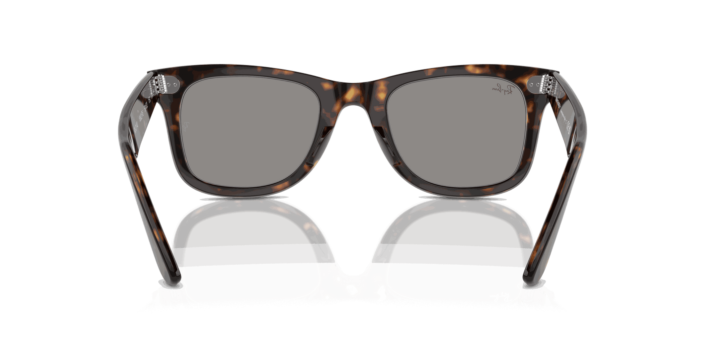 [Grey Lenses, Polished Havana Frame]