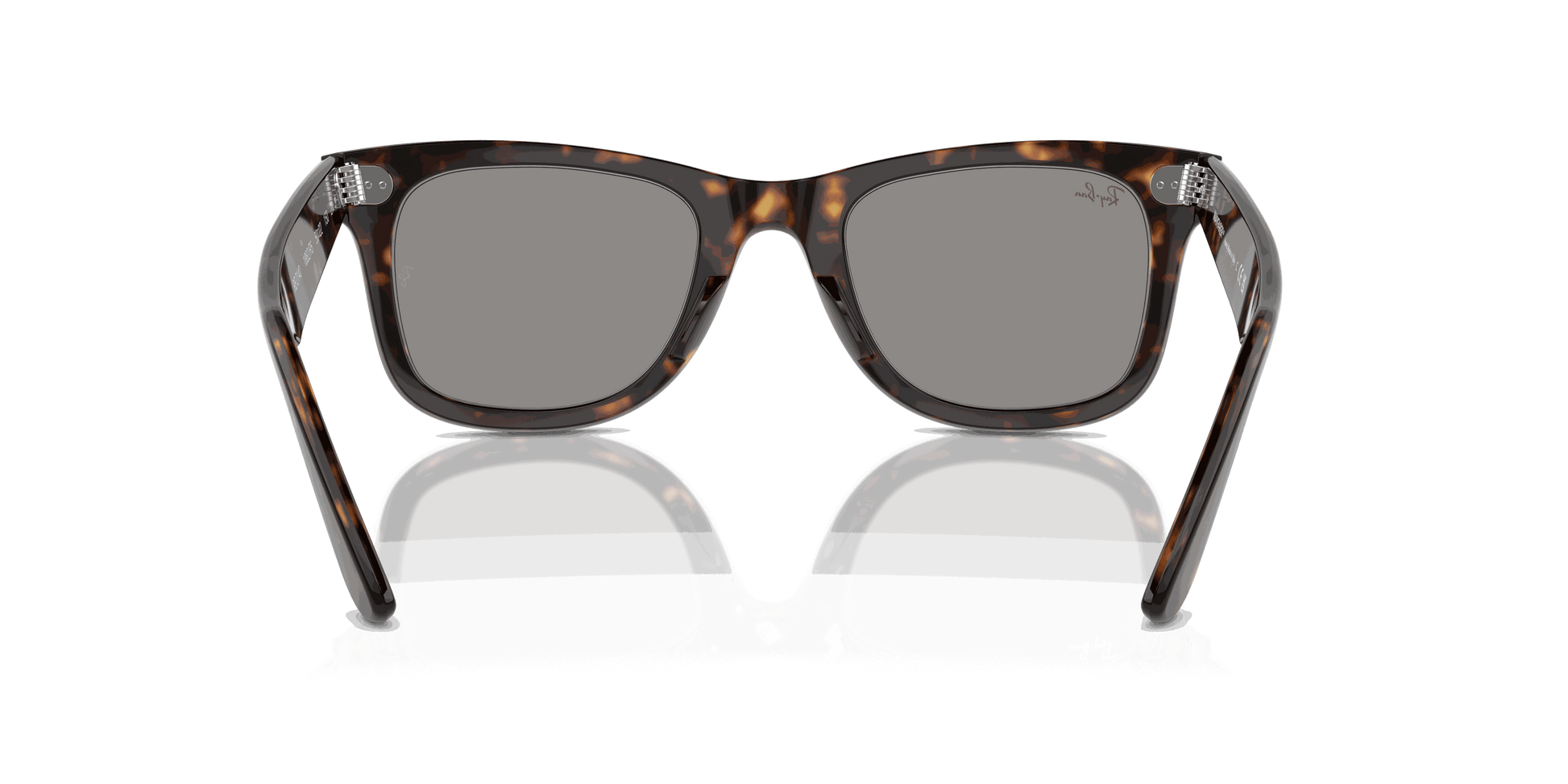 [Grey Lenses, Polished Havana Frame]