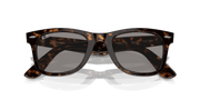 Grey Lenses, Polished Havana Frame