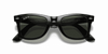 [Green Lenses, Polished Black Frame]