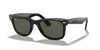 [Green Lenses, Polished Black Frame]